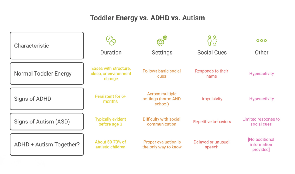 Chart comparing behavioral traits of toddler energy, ADHD, and autism.